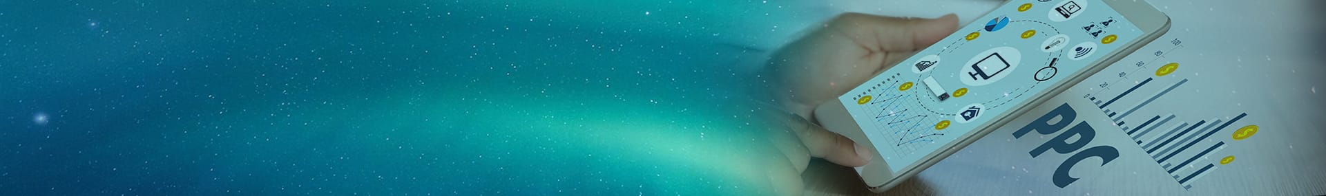 Local Paid Search PPC