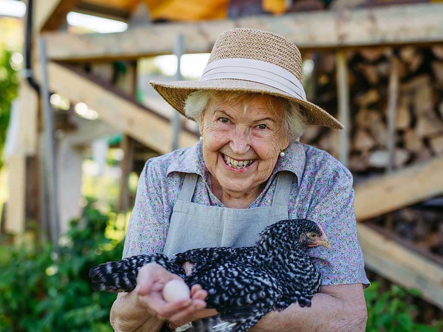 Content Marketing Basics 2 egg farmer